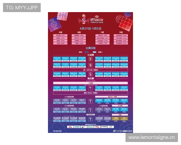 世界杯赛程全面解析及球队排名最新动态全览 - 副本
